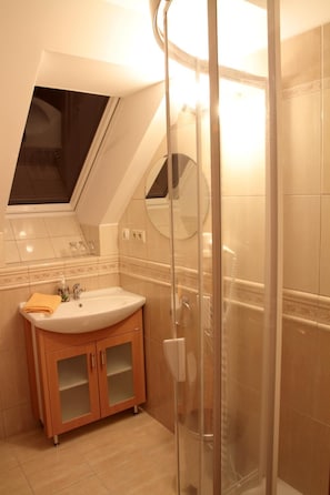 A bathroom with a skylight, a sink, a mirror, and a shower enclosure.