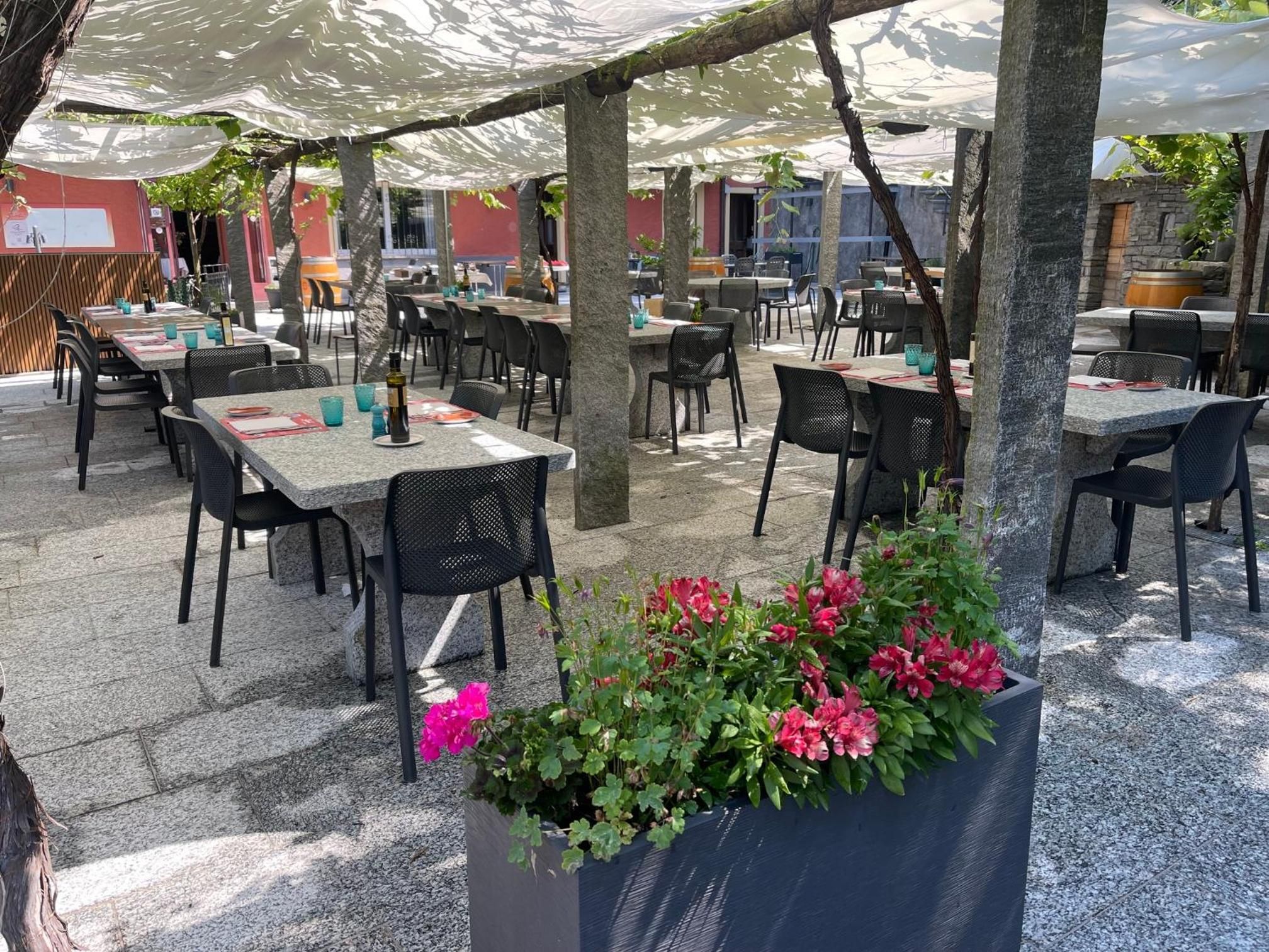 Un área de comedor al aire libre con mesas y sillas, protegida por una marquesina y rodeada de follaje.