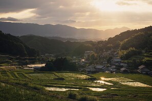 Miscellaneous - HOSHINOYA Asuka (Takaichi District)