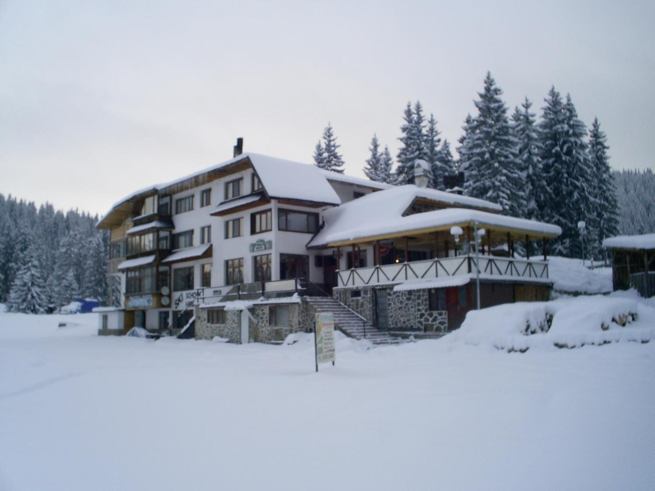 Um hotel com vários andares e entrada direta para uma pista de esqui, cercado por árvores cobertas de neve.