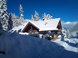 A wooden lodge with a sloped roof, surrounded by snow-covered trees and a clear blue sky. - Quaint Alpine Hut In The Stubaital With Sauna (Neustift Im Stubaital)
