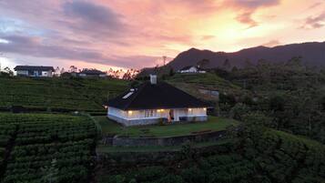 A house with a stone foundation, surrounded by lush green tea plantations, set against a backdrop of hills and a sunset sky.