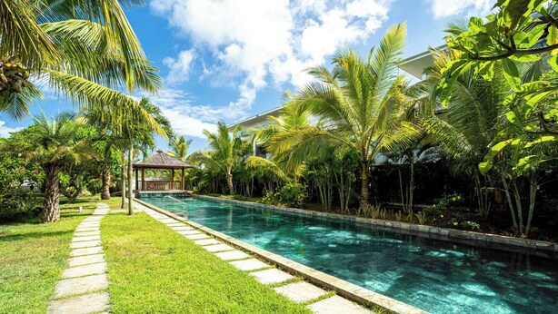 Una piscina cristalina con borde de piedra, rodeada de exuberante vegetación y palmeras.