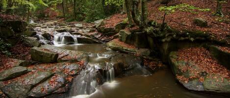 Un arroyo serpentea sobre rocas en un área boscosa.