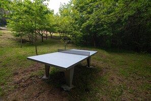Ein Tischtennis-Tisch steht draußen vor einer natürlichen Kulisse aus Bäumen und Gras.