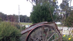 An old, rusted wheel with spokes, surrounded by overgrown vegetation and a fence in the background. - Snowy River Lodge Motel (Newmerella)