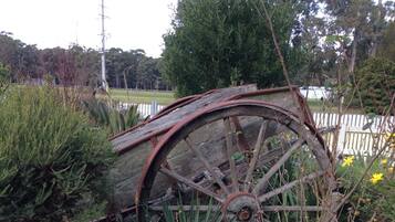 An old, rusted wheel with spokes, surrounded by overgrown vegetation and a fence in the background.