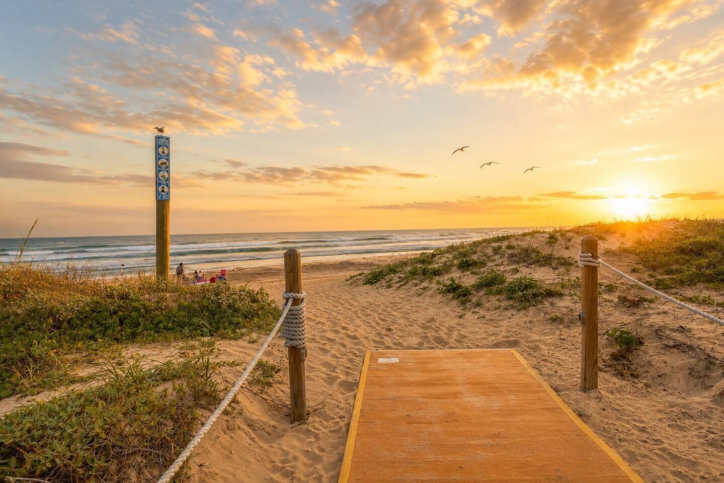 Un sendero bordeando la playa que lleva al océano, con un paseo marítimo de madera, una torre de salvavidas y una playa arenosa con vegetación.