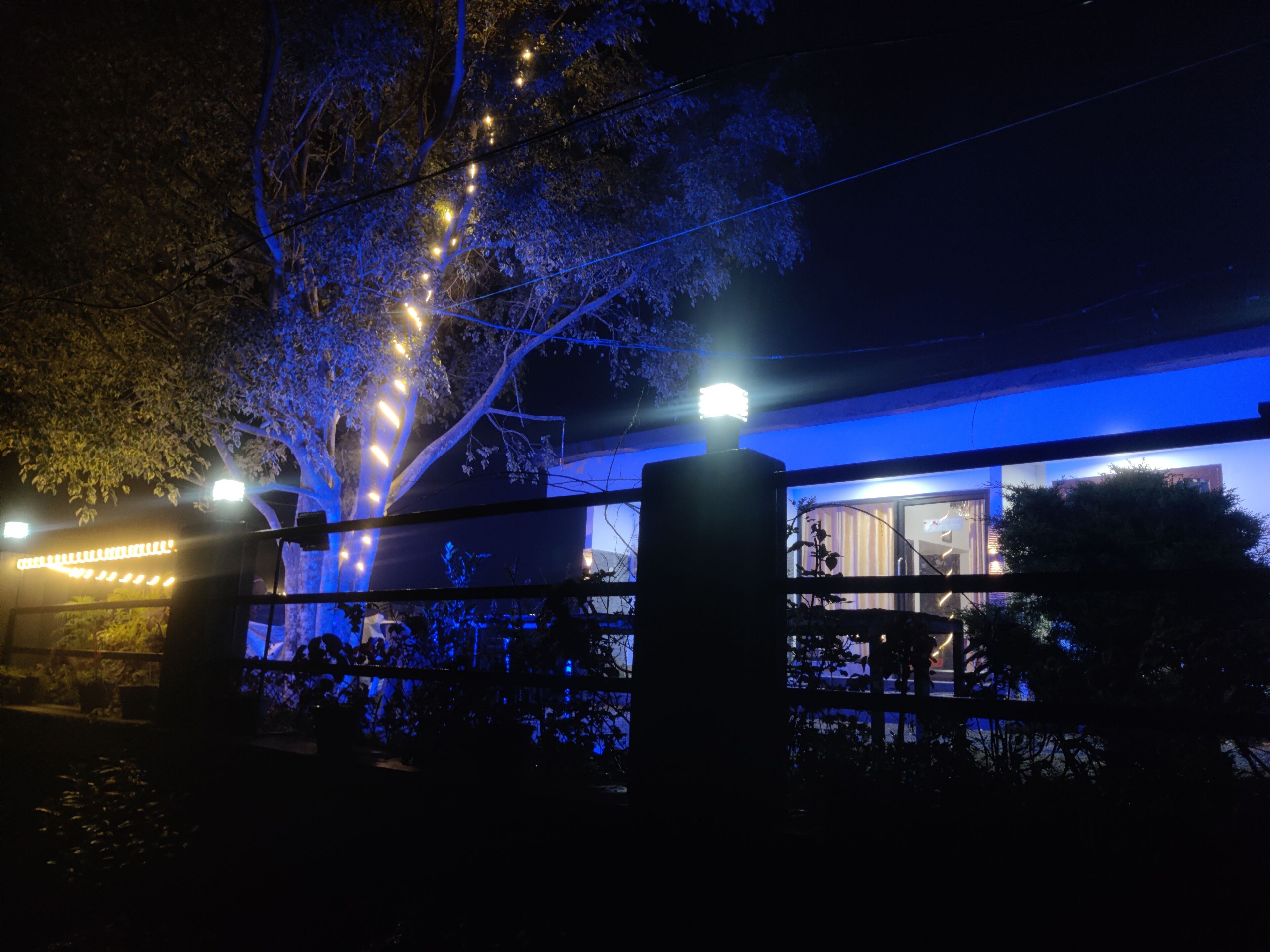 A building with a blue-lit exterior, a visible entrance, and a tree with string lights.