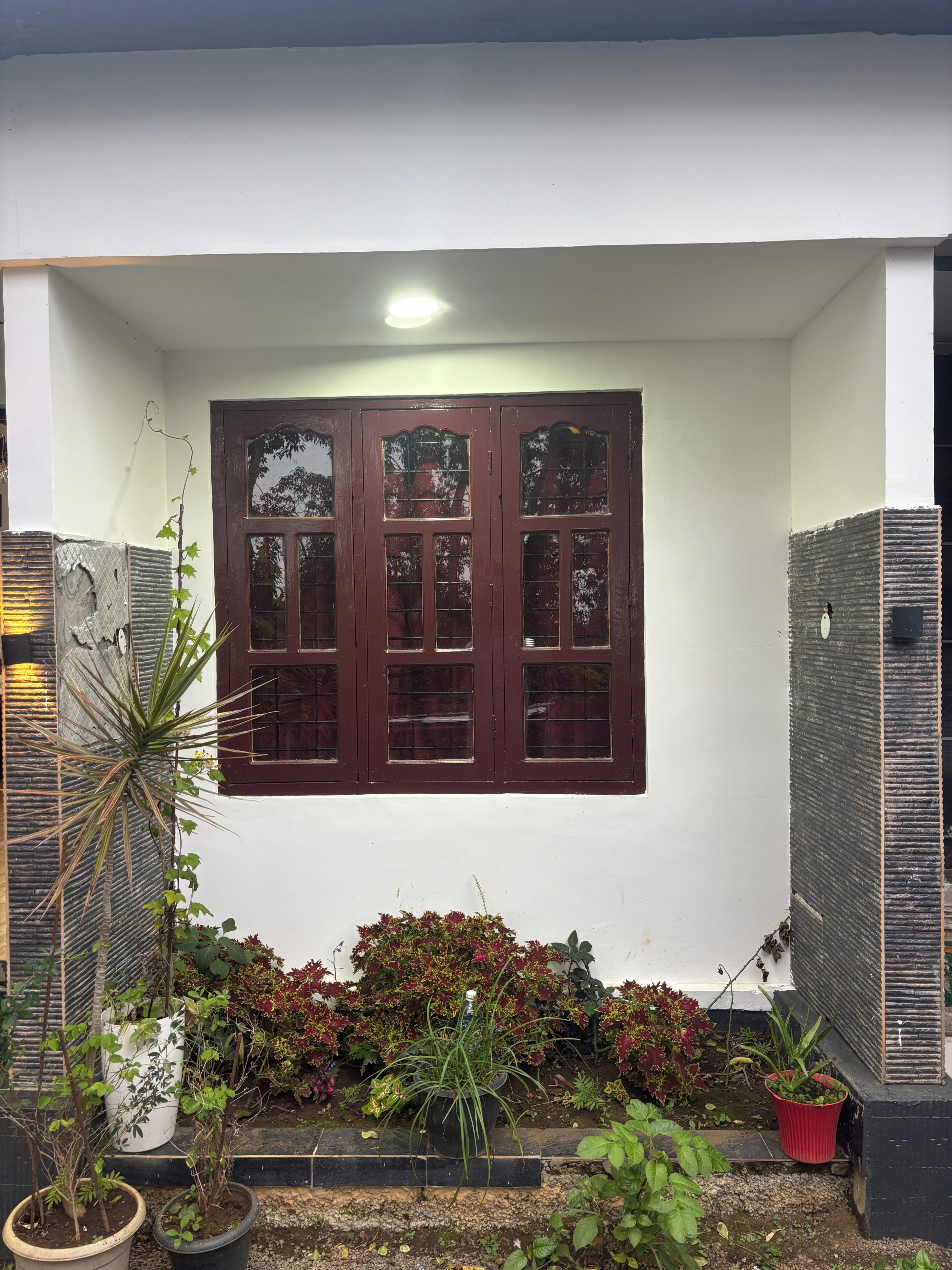 A building facade with a large window, potted plants, and a small garden area.