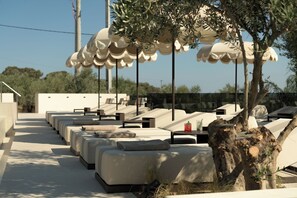 Una hilera de tumbonas bajo un toldo de sombrillas, con un árbol y una mesa con bebidas al frente.