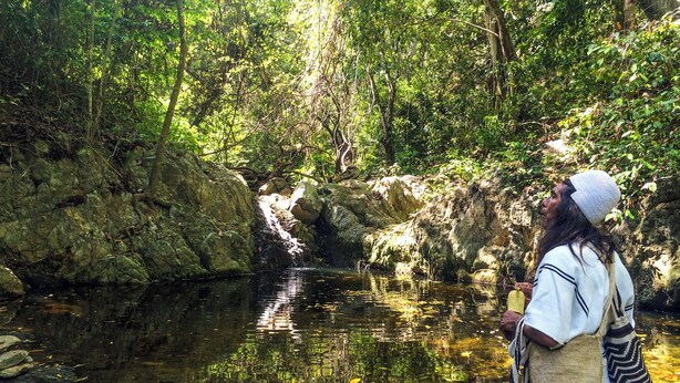 Entorno natural al aire libre con un cuerpo de agua, rocas y abundante vegetación.