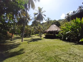 Um jardim tropical com estrutura de telhado de palha, palmeiras e gramado bem cuidado.