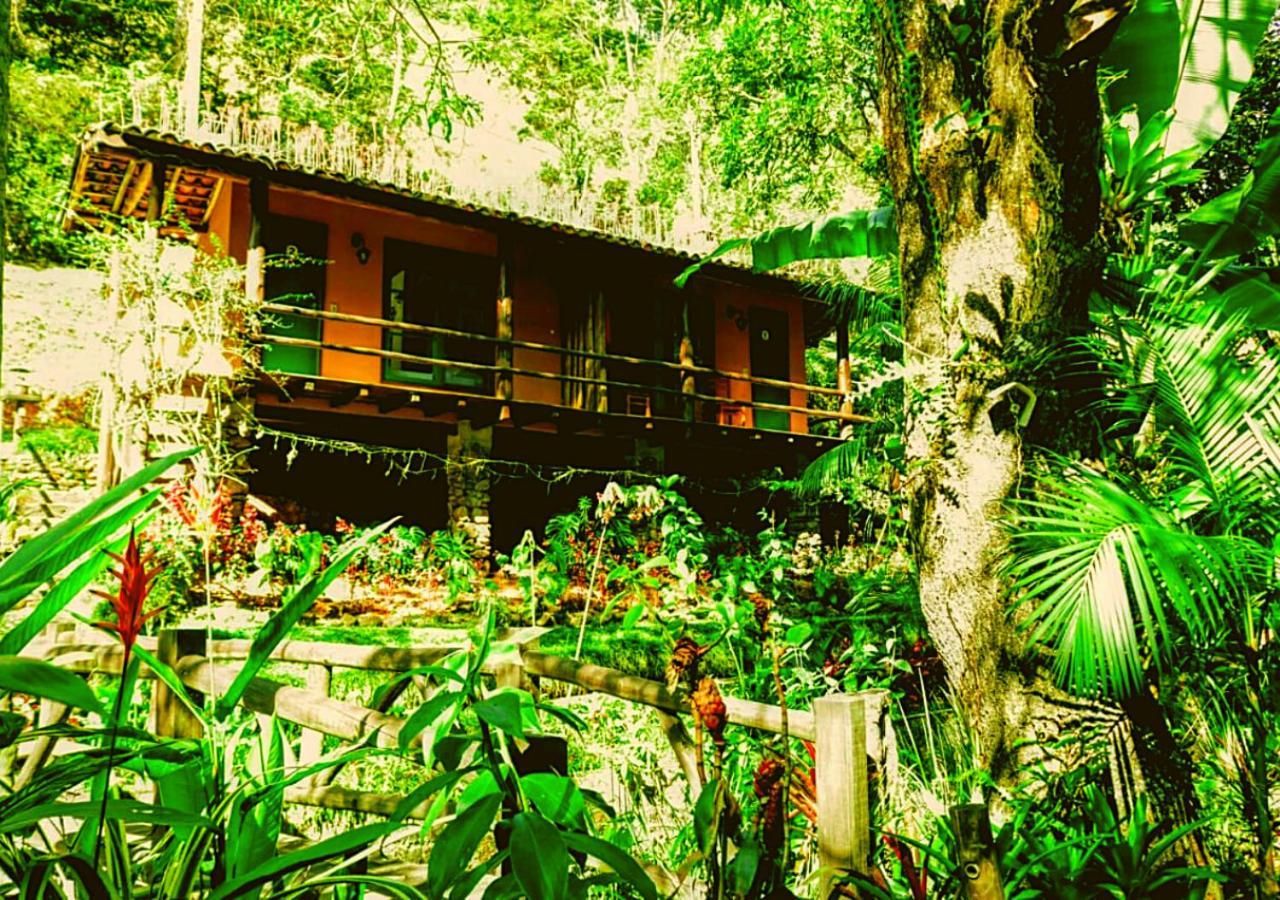 Uma cabana rústica de madeira com varanda, rodeada por vegetação tropical exuberante.