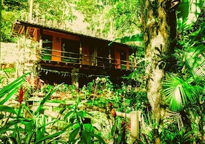 Una cabaña de madera rústica con balcón, rodeada de vegetación tropical exuberante.