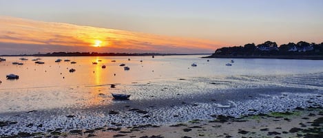 A coastal scene with boats on calm water, a sunset, and a shoreline with vegetation.