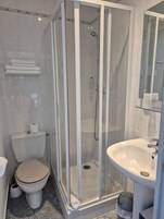 A modern bathroom with a glass-enclosed shower, a toilet, and a sink.
