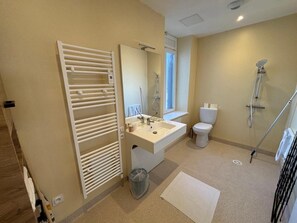 A bathroom with a toilet, sink, mirror, towel rack, and shower. - Hotel Des Voyageurs Chez Betty (Neussargues en Pinatelle)