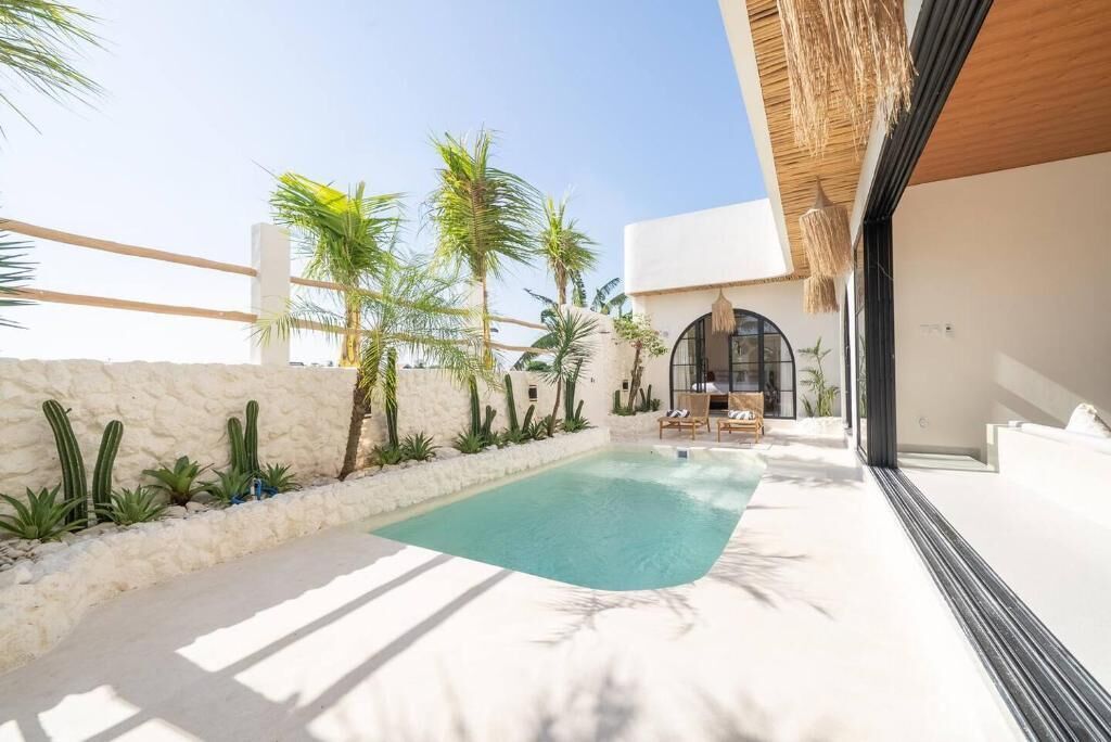 A pool area with a clear blue pool, surrounded by cacti and palm trees, and a modern building with a large window and a thatched roof.