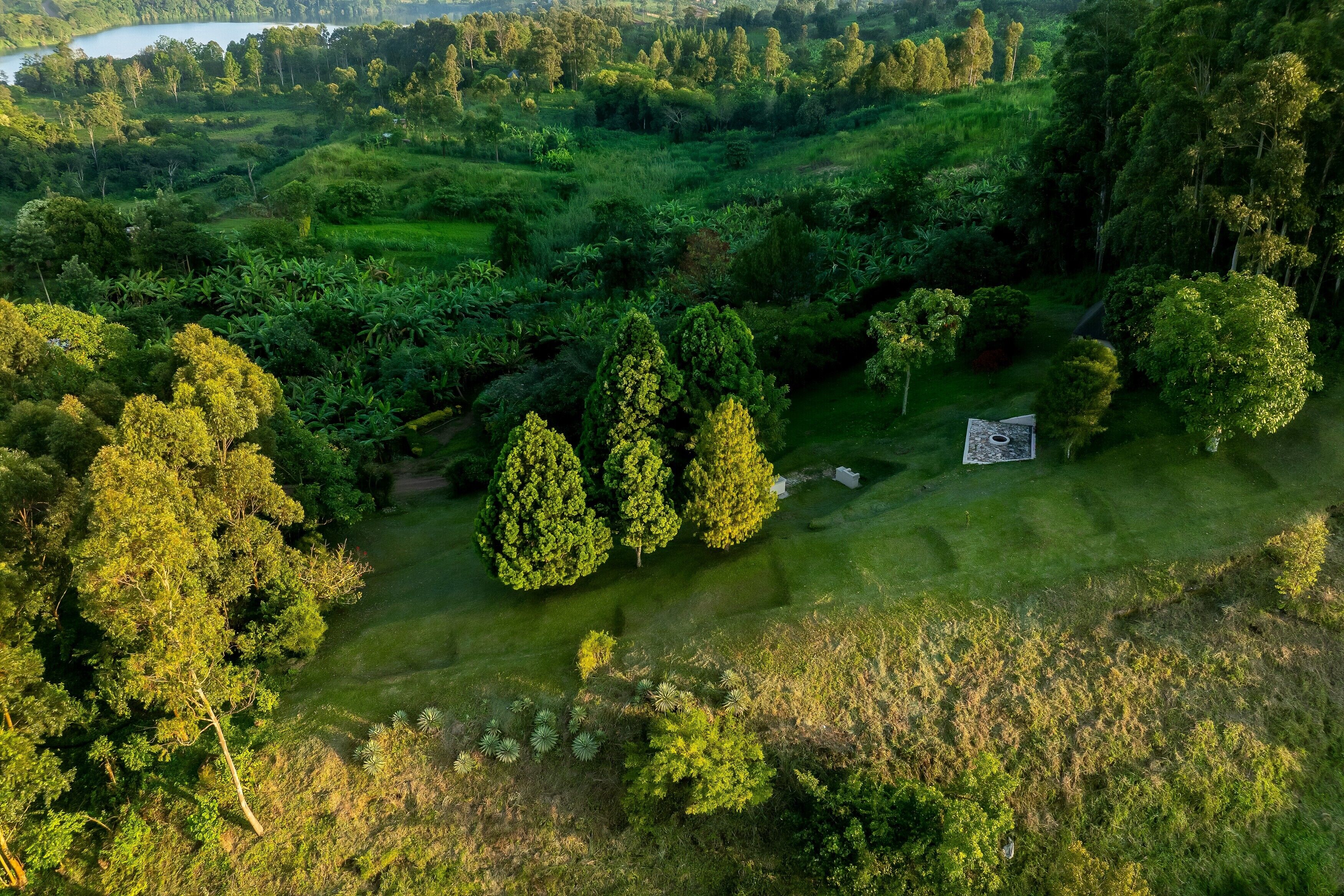 An aerial view of a lush green landscape with a variety of trees and a small pond.