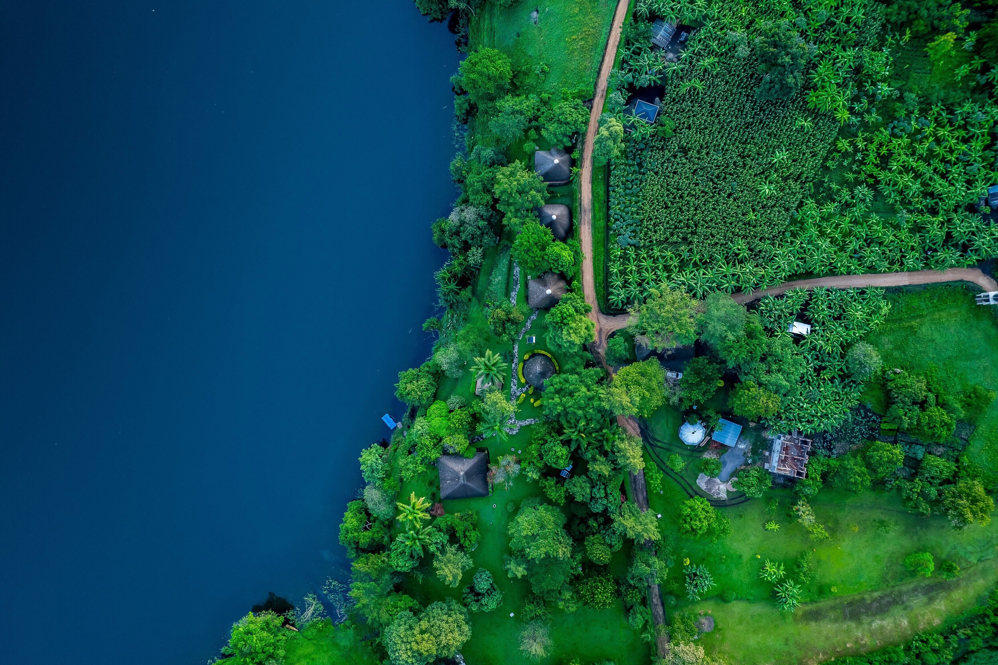 Vista aérea de uma propriedade costeira com praia, vegetação densa e algumas construções.