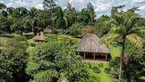 Un complex turístic tropical amb cabanes de teules envoltat de vegetació exuberant i palmeres.
