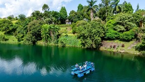 A blue boat on a calm river surrounded by lush greenery and trees.