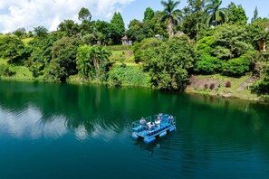 Una embarcación azul en un río tranquilo rodeado de exuberante vegetación y árboles.