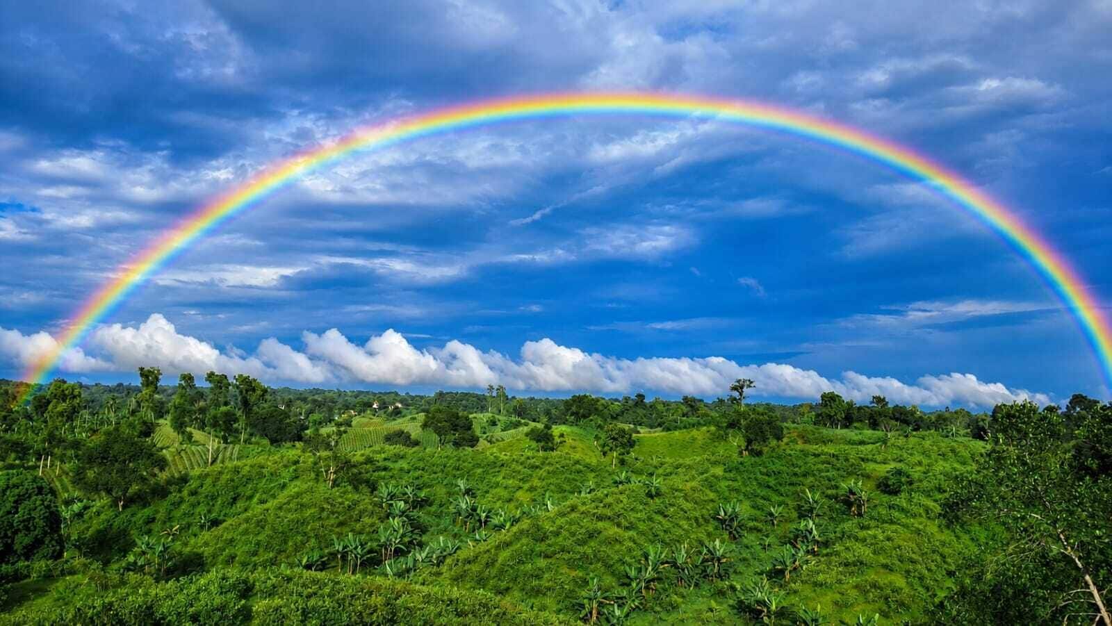 A lush green landscape with a rainbow arching across the sky.