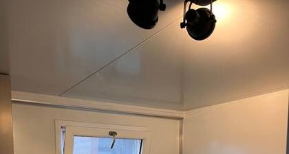 Fantastic Houseboat, 15 min Amsterdam Free Parking