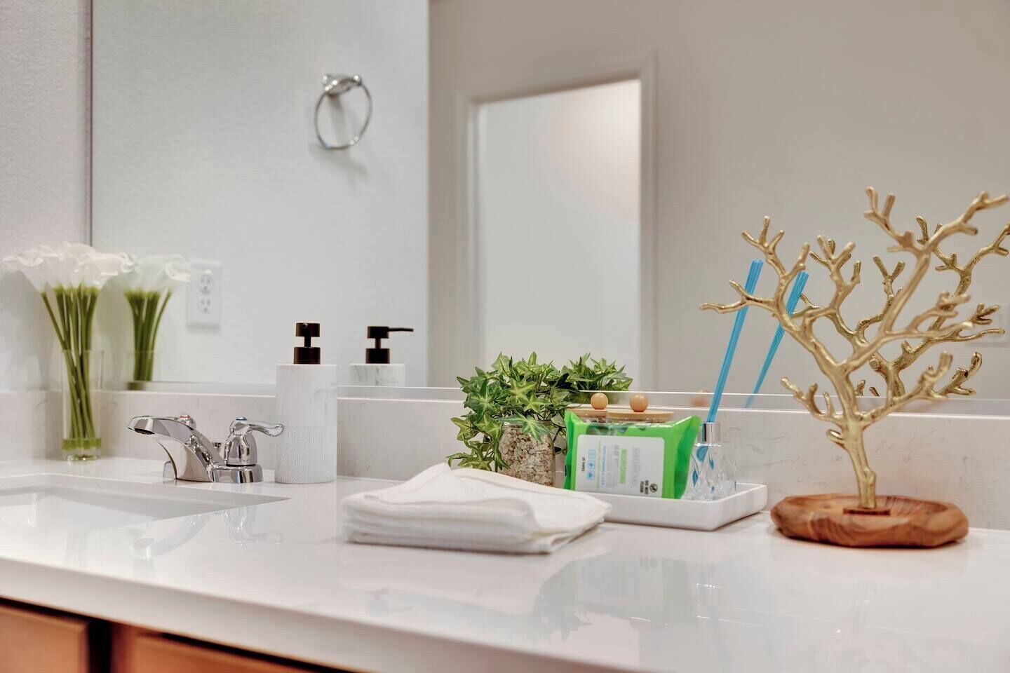 A bathroom with a white sink, a mirror, a toilet paper holder, a green plant, and a decorative tree.