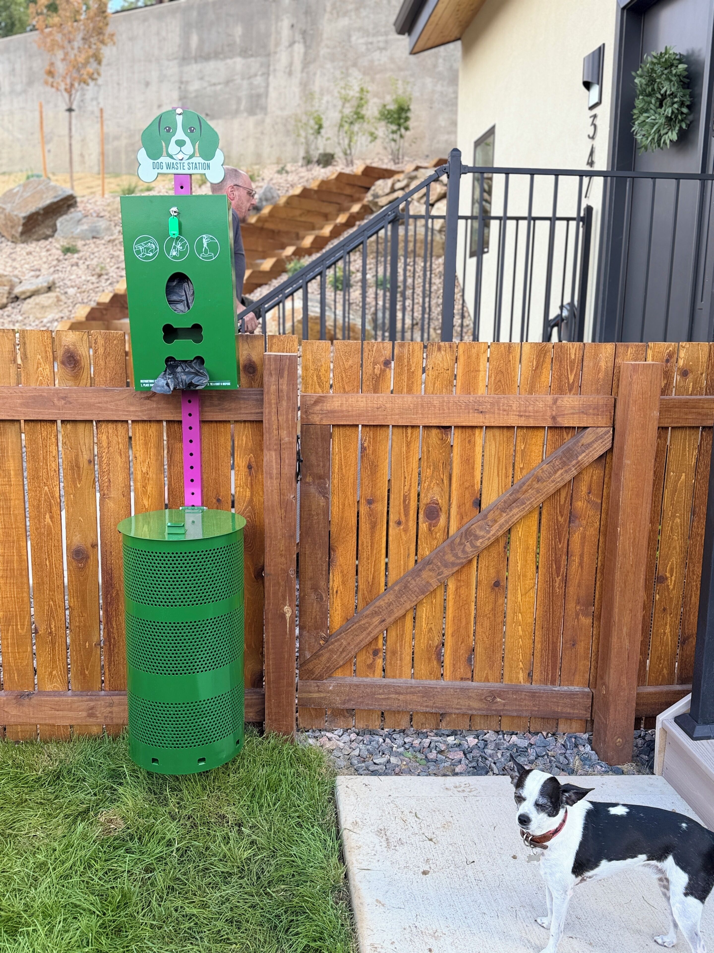 A dog waste station with a green trash can and a sign, a wooden fence, and a dog standing on a concrete slab.
