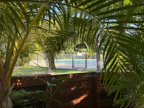 A view through a wooden fence with palm fronds, leading to a fenced area with a pool and a road in the background. - Luxury duplex in the heart of Baie Orientale, just a few steps from the beach (SAINT MARTIN)