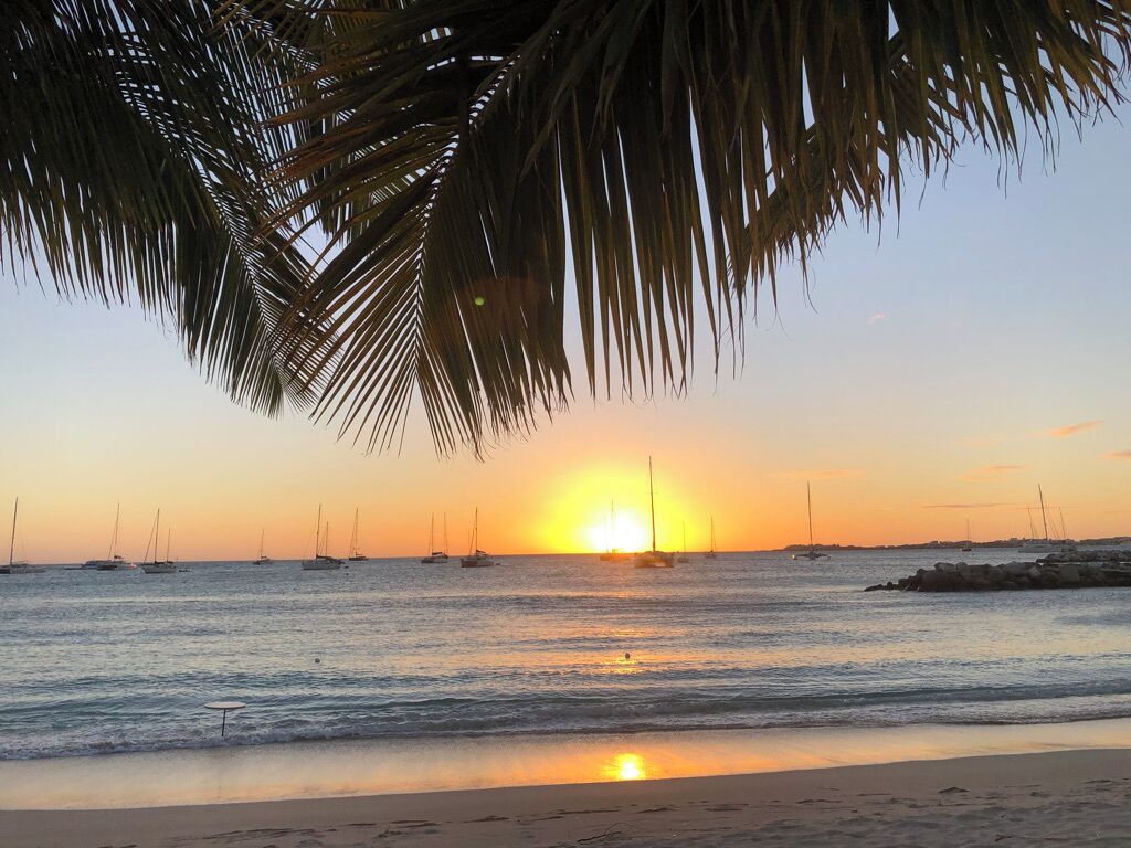 A beach scene with a sunset, palm trees, and sailboats on the water.