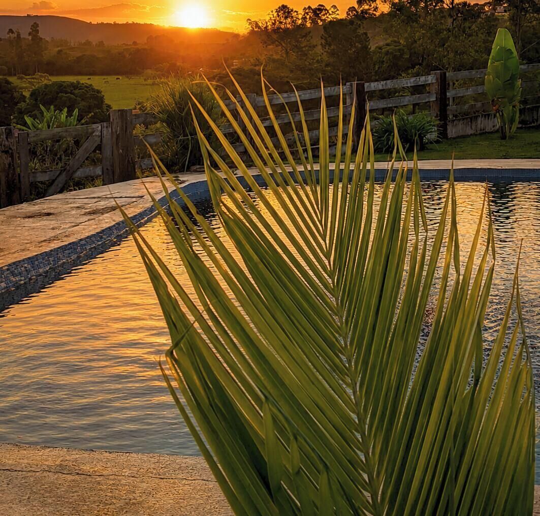 Un jardín con fuente de agua y valla de madera.