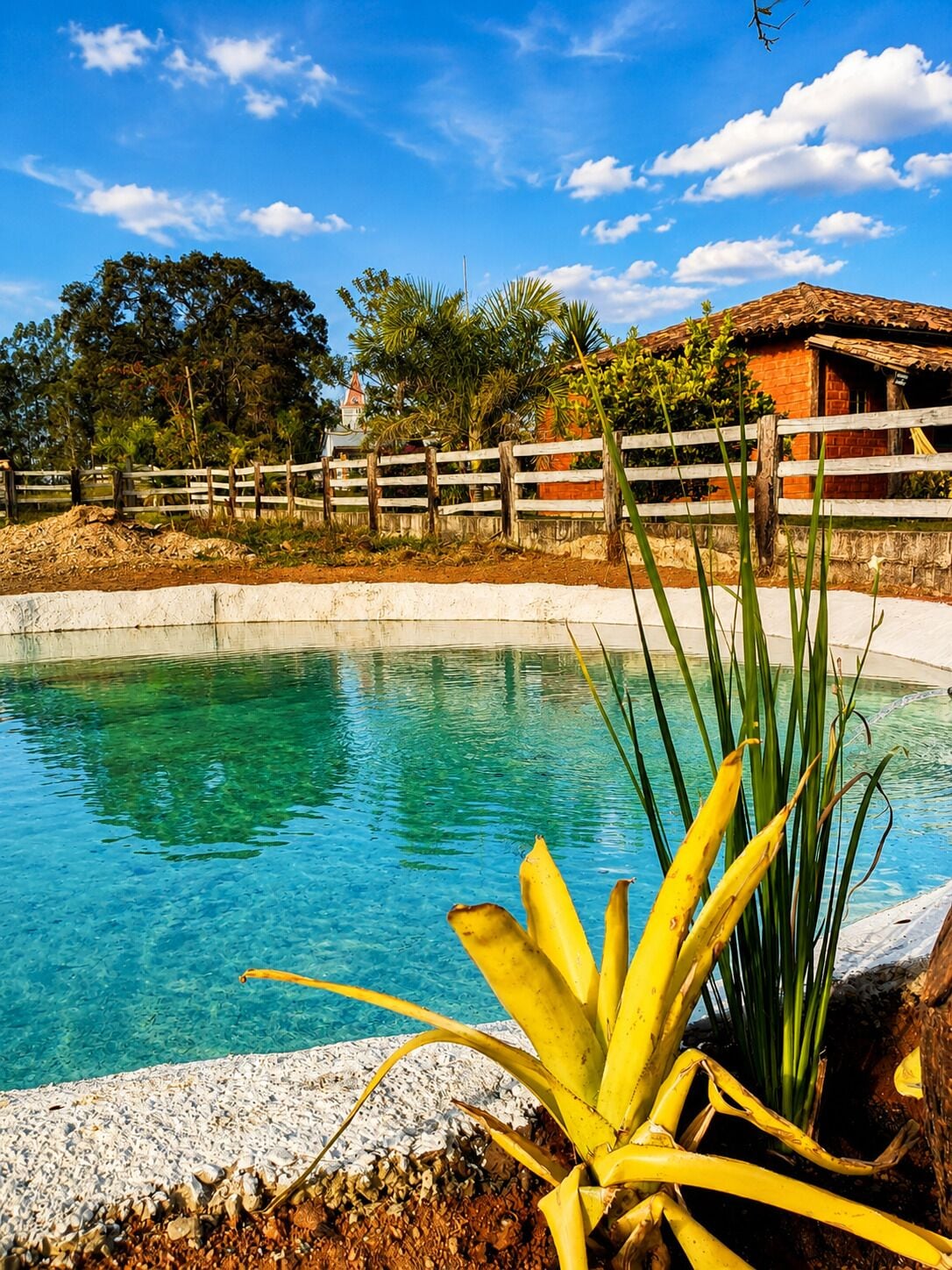 Piscina límpida com cerca de madeira e plantas tropicais em primeiro plano.