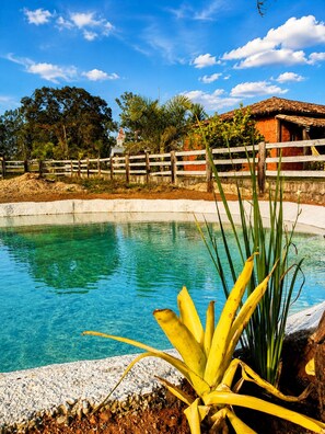 Una piscina cristalina con una valla de madera y plantas tropicales al frente.