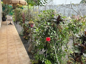 A garden with a variety of plants and a tiled patio area.