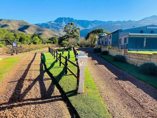 A vineyard pathway with a fence, a lamp post, and a building labeled 'AKSREST' in the background.