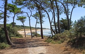 Plage