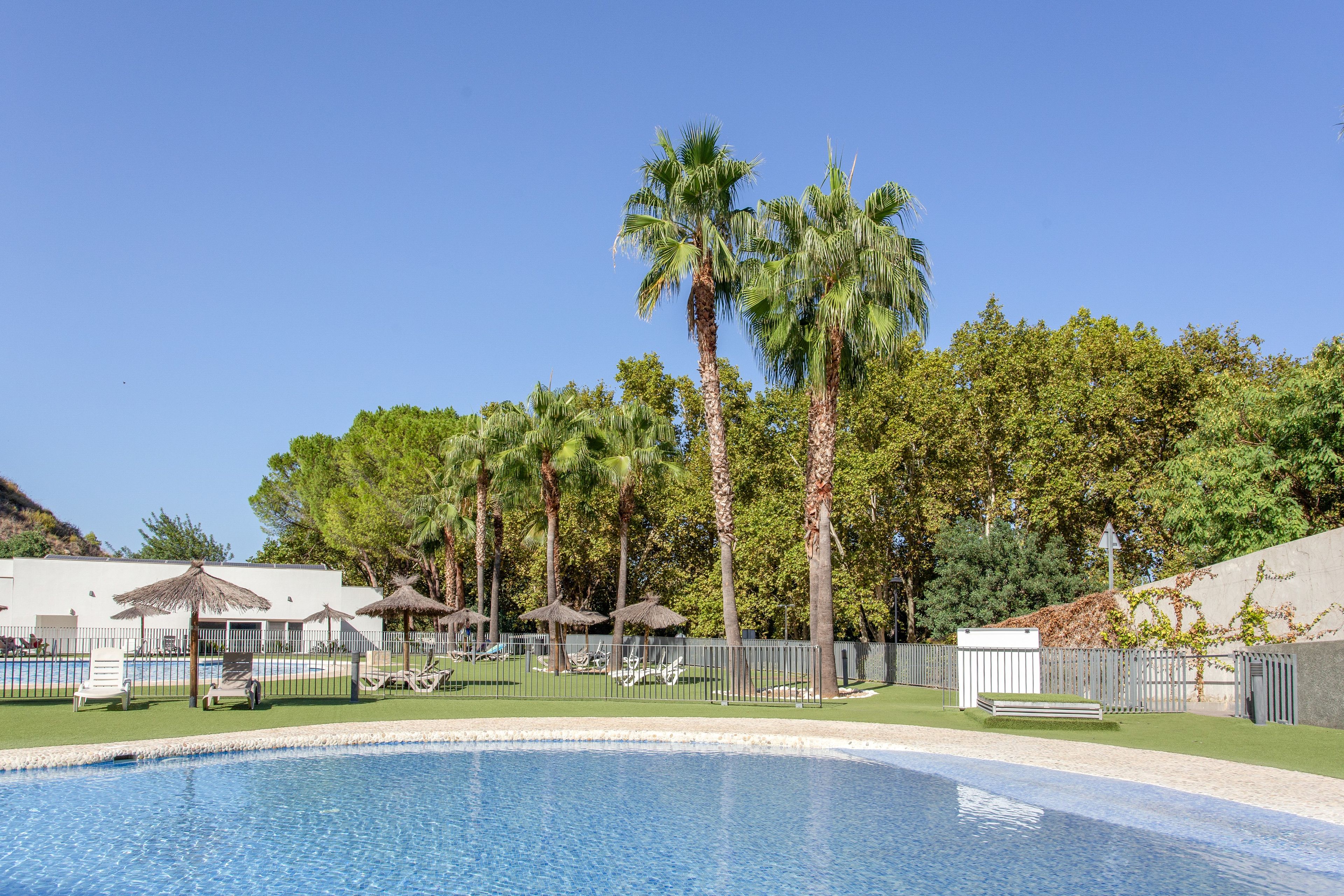 Una piscina con palmeras y sillones de descanso al fondo.
