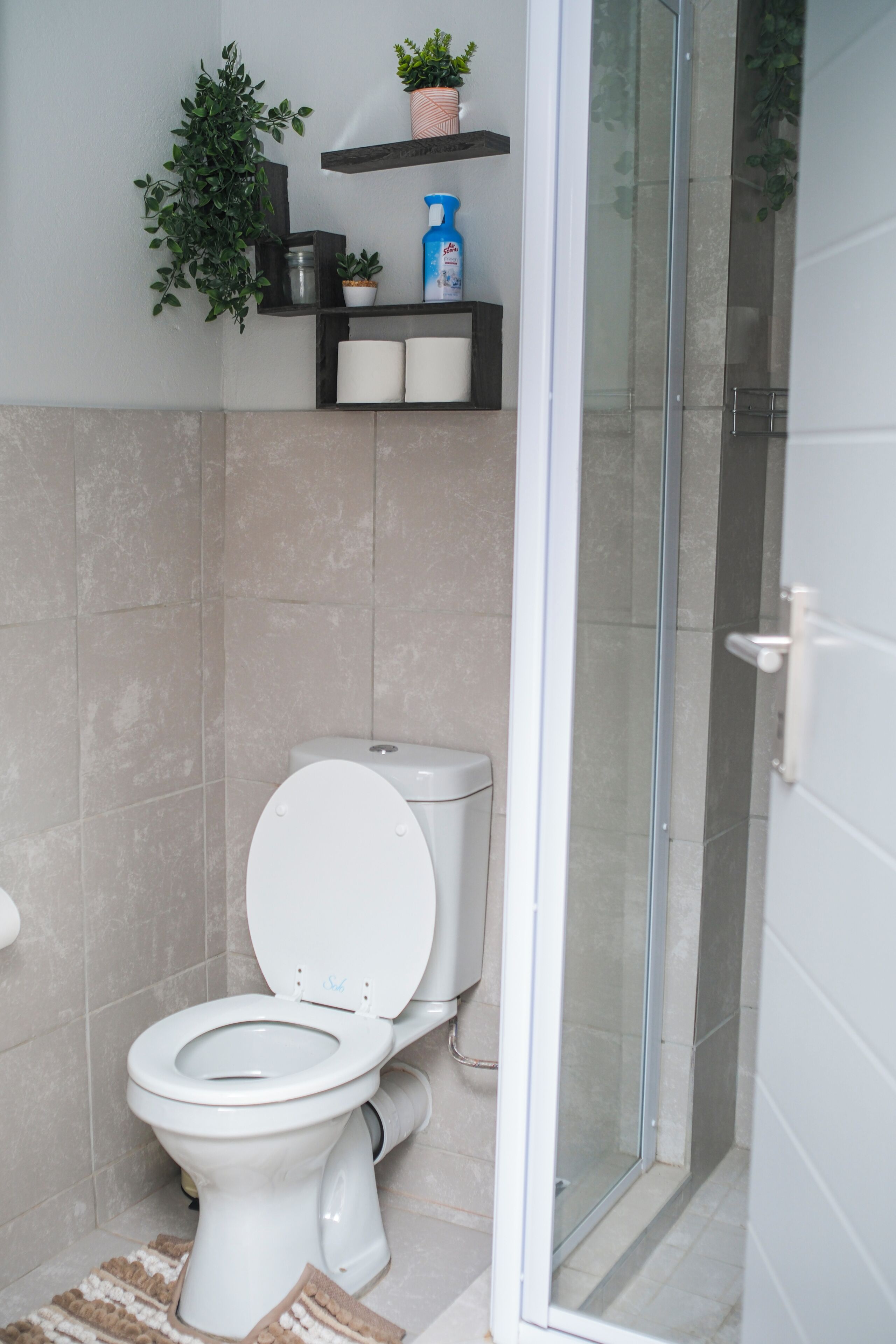 A bathroom with a toilet, a shower enclosure, and a shelf with plants and toiletries.
