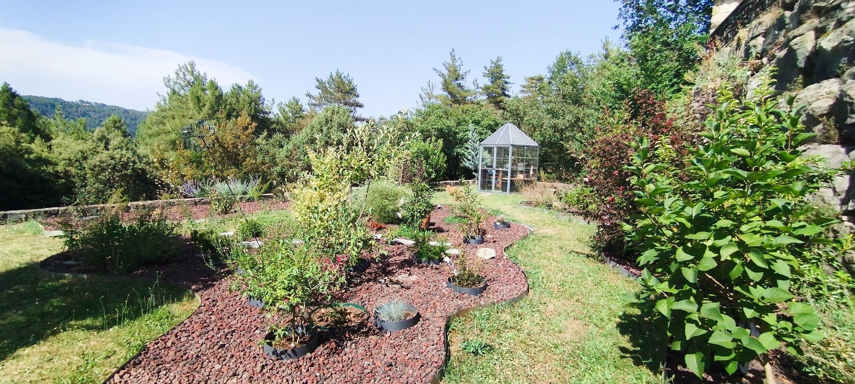 Ein Garten mit Gewächshaus, verschiedenen Pflanzen und einer Steinmauer.
