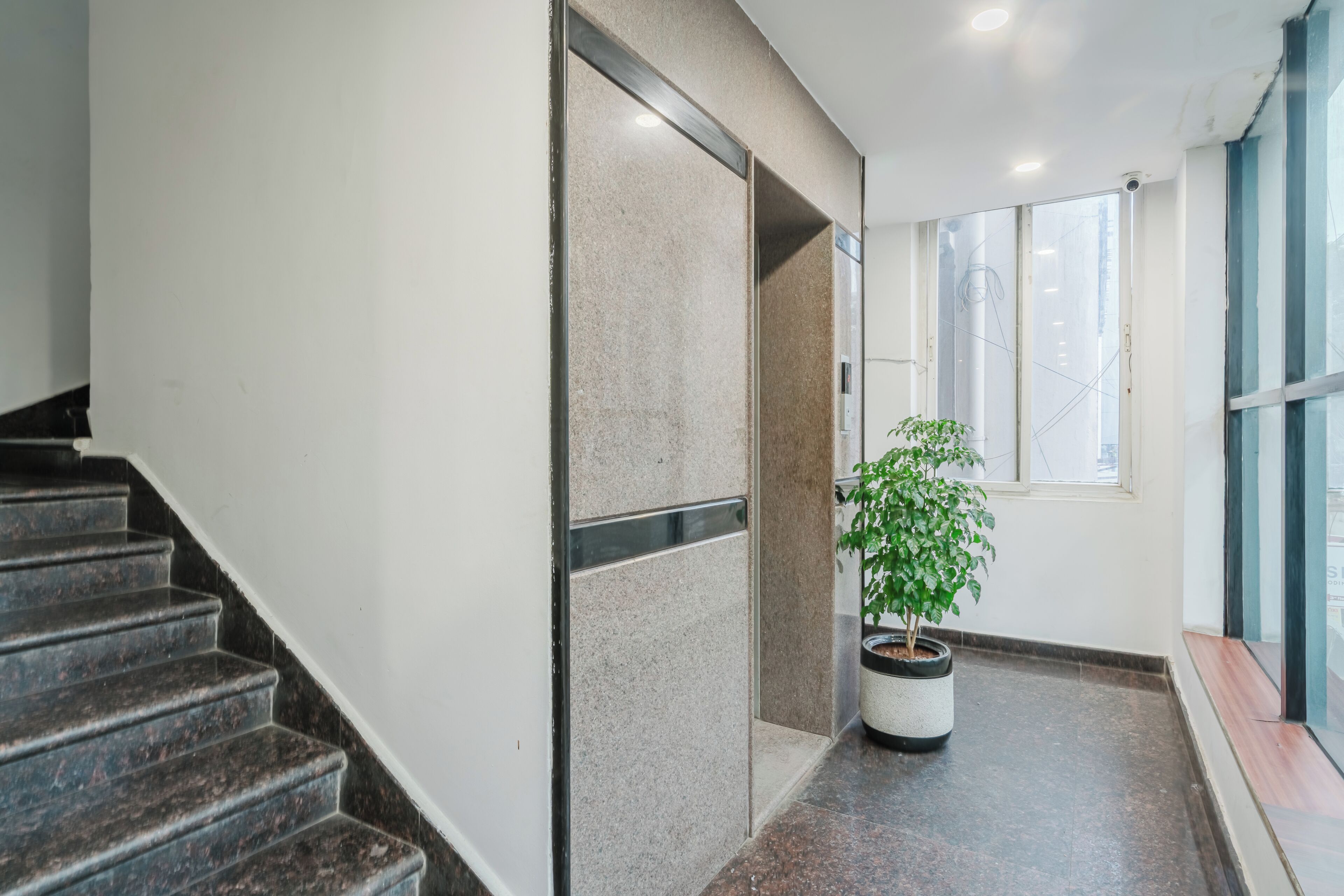 Un intérieur moderne avec un escalier, une plante en pot et une fenêtre.