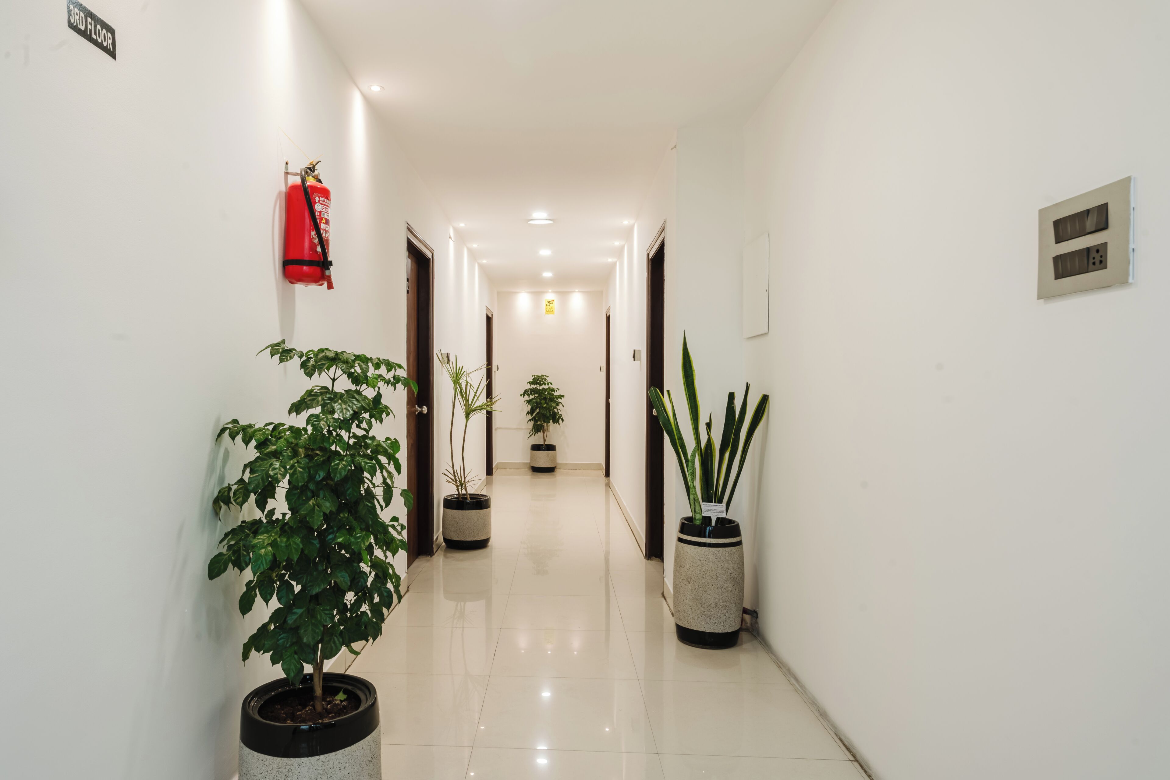 Un couloir orné de plantes en pot, muni d’un extincteur et d’un panneau indiquant le troisième étage.