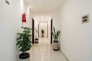 Un pasillo con plantas en macetas, un extintor y un letrero que indica el tercer piso.