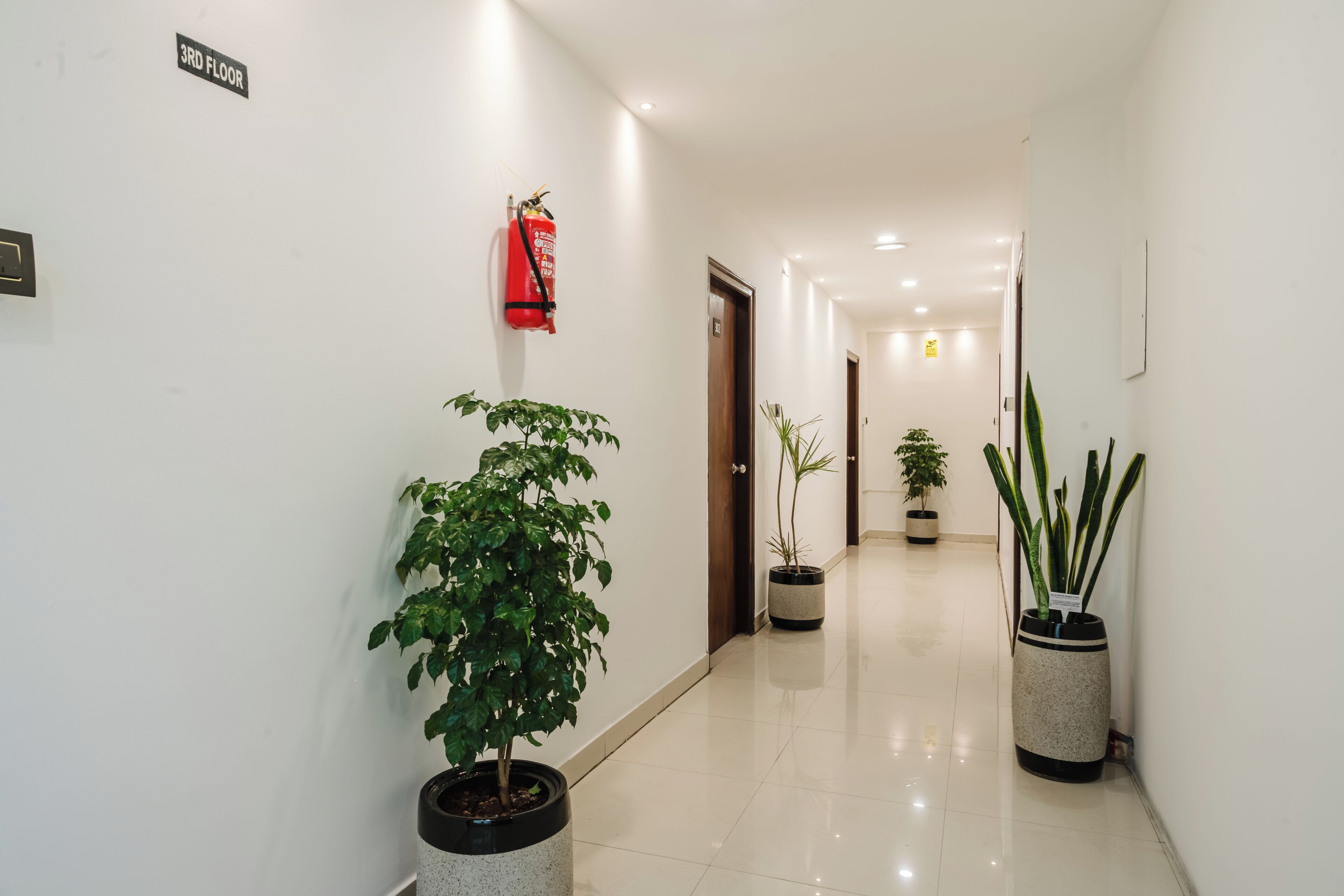 A hallway with a fire extinguisher mounted on the wall, potted plants, and a sign indicating the 3rd floor.