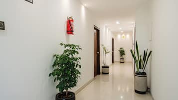 A hallway with a fire extinguisher mounted on the wall, potted plants, and a sign indicating the 3rd floor.