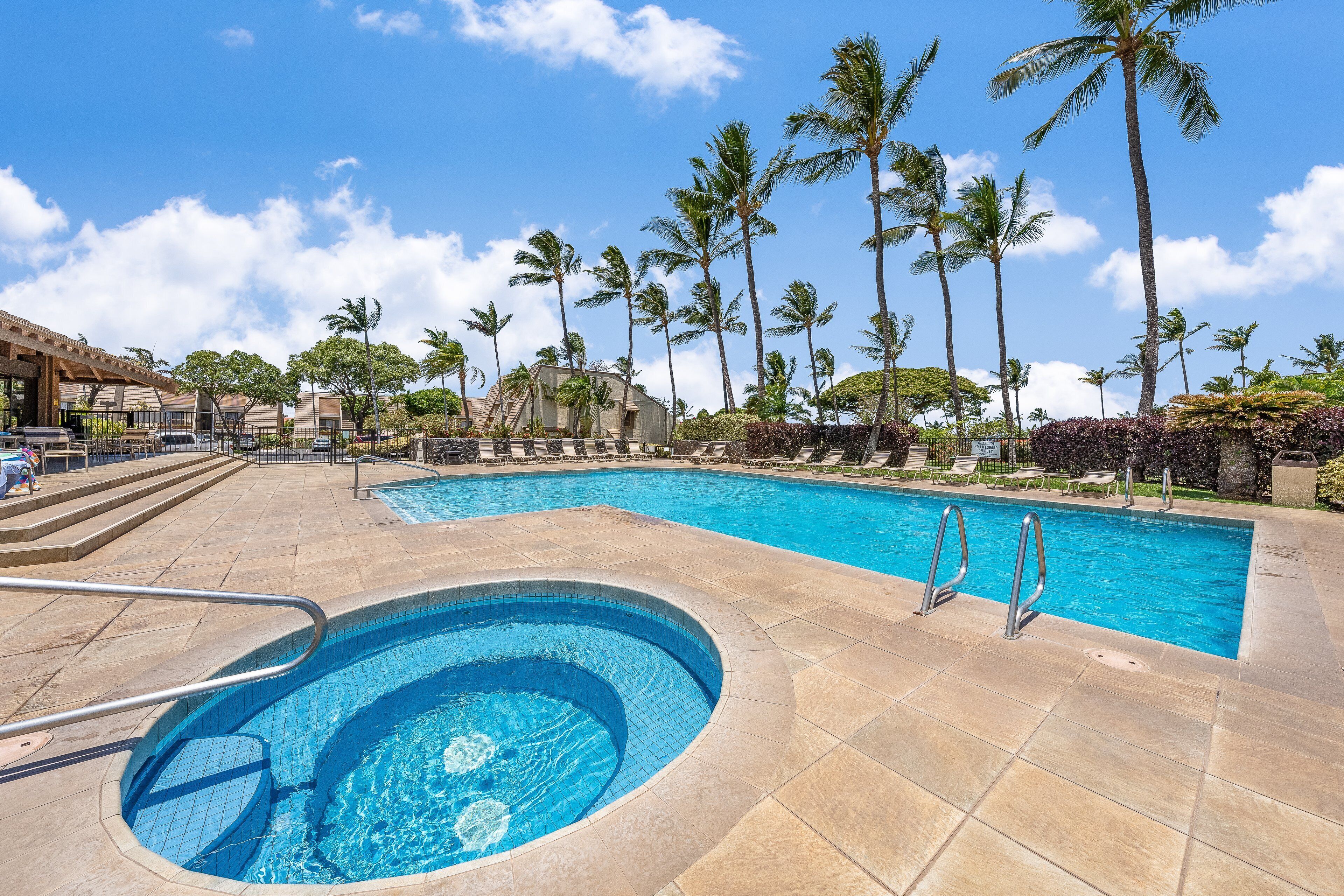 A swimming pool with a hot tub, surrounded by palm trees and lounge chairs.