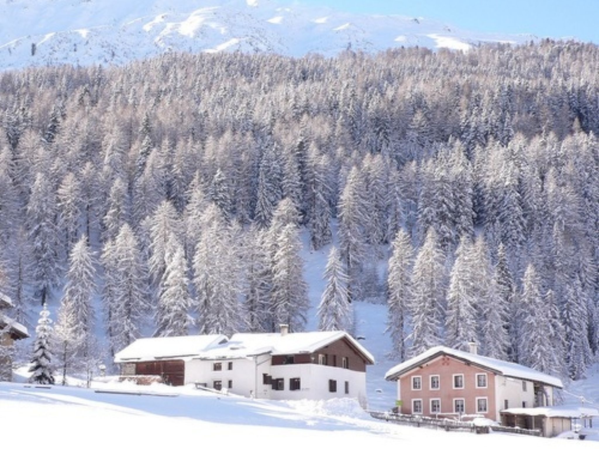 A snow-covered landscape with a forest and two buildings.